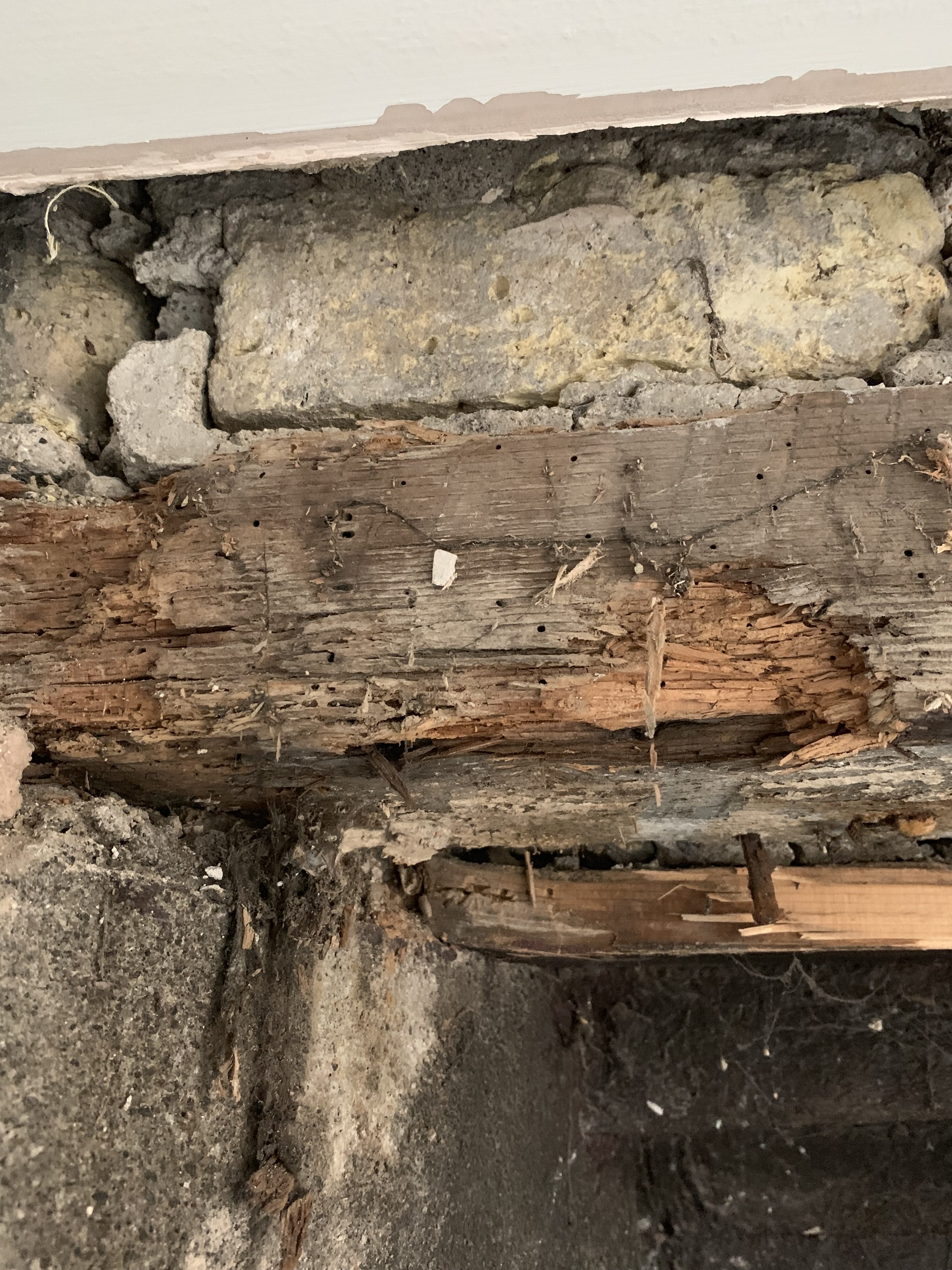 Opening up the nook, rotten wood, why is the bathroom so high?