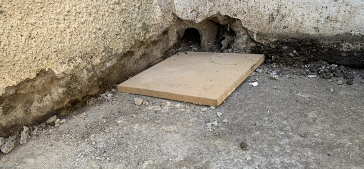 Structural issues, and plans to address them Structural issues, and plans to address them