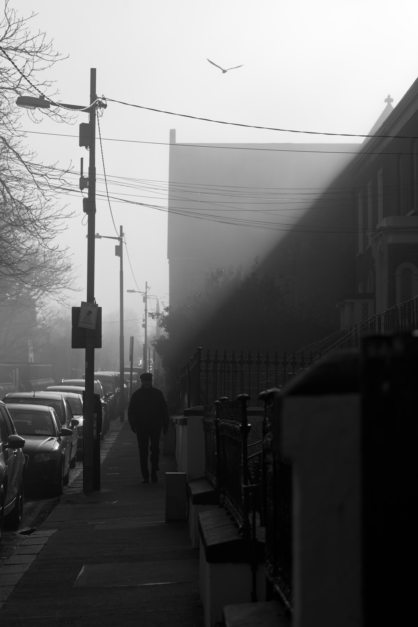 A foggy day in Dun Laoghaire