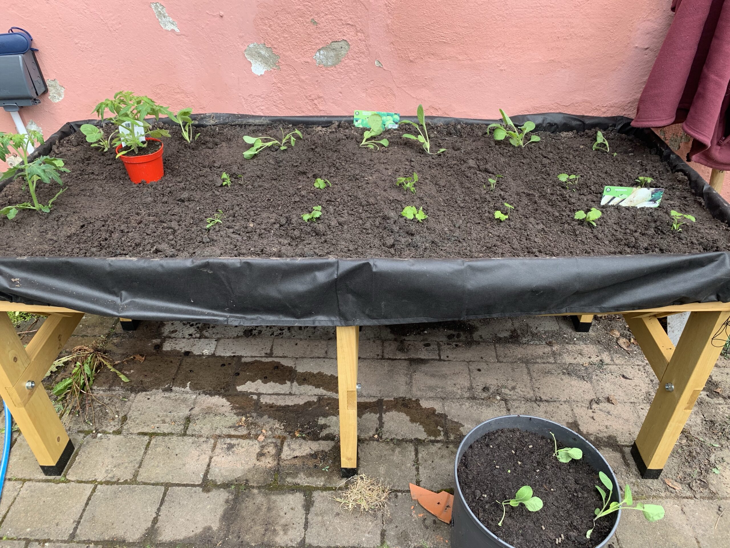 Adding a VegTrug – part 3