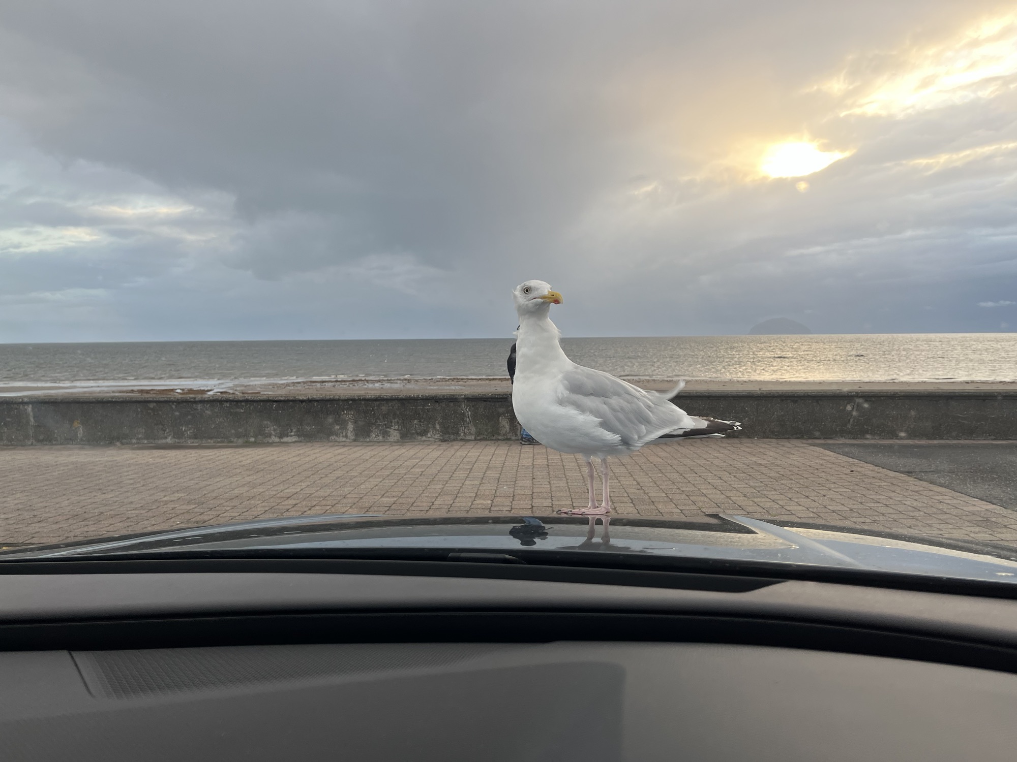 Holiday 2024 – Dun Laoghaire to Girvan