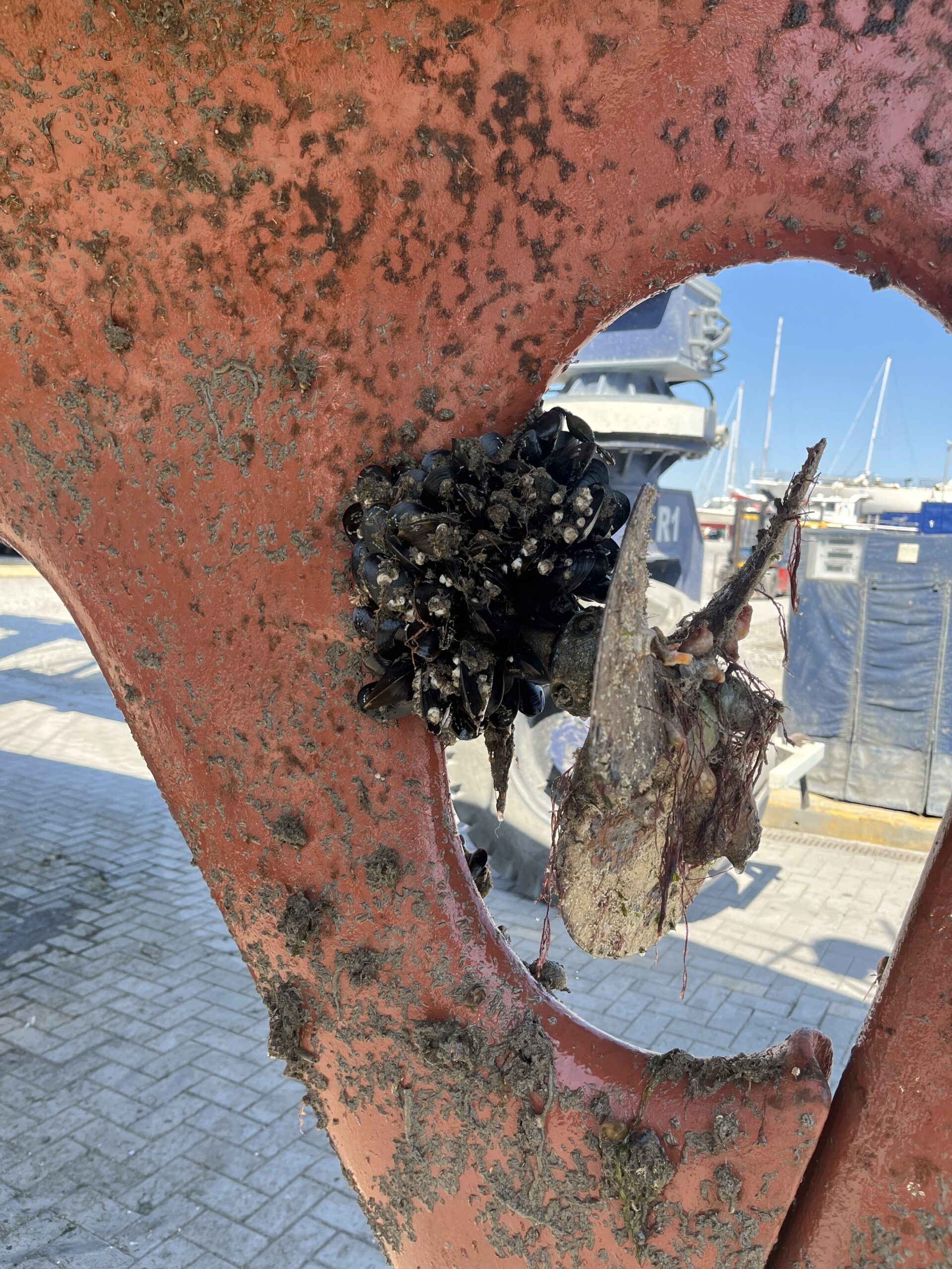 Boat Work 2025 – prelude